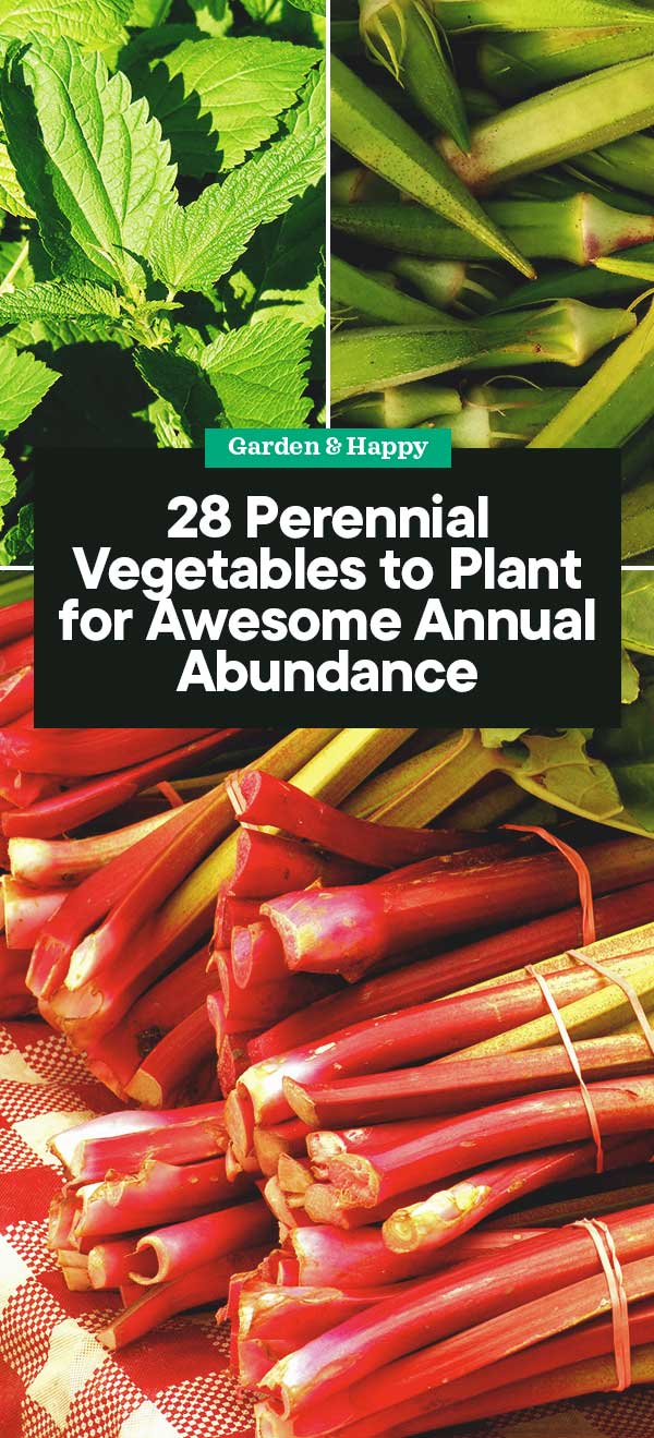 28 Perennial Vegetables to Plant for Awesome Annual Abundance Garden