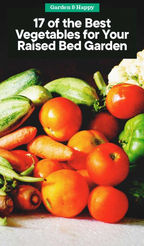 WHAT VEGETABLES ARE BEST IN A RAISED BED visual data 5