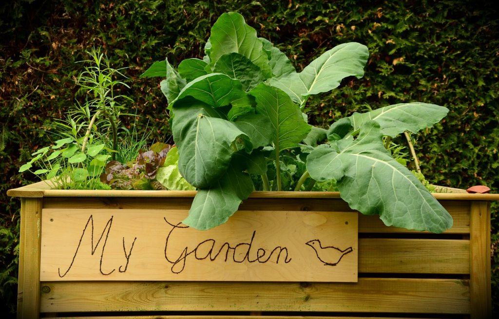 17 of the Best Vegetables for Your Raised Bed Garden Garden and Happy