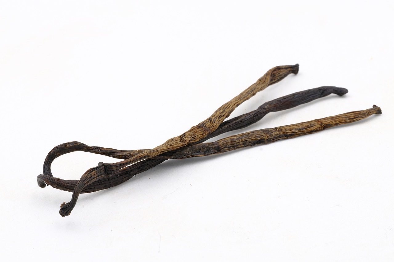 Where Does Vanilla Come From The History Of This Amazing Bean Garden