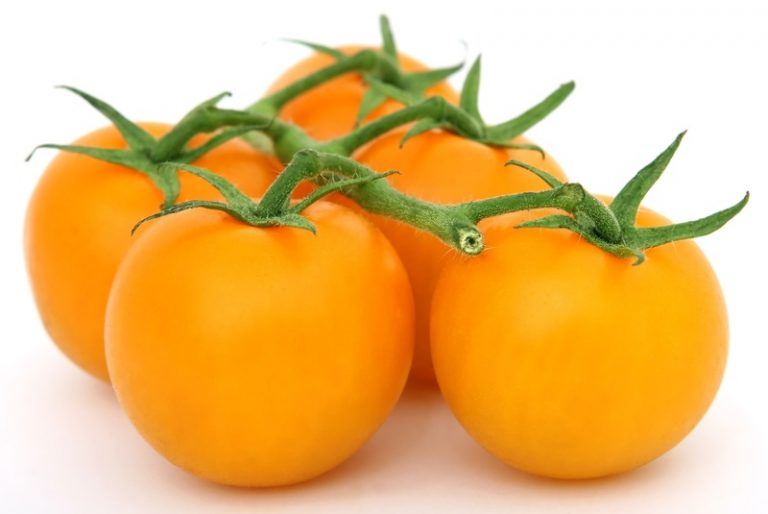 Totally Tomatoes! 28 Spectacular Tomato Varieties to Explore Garden