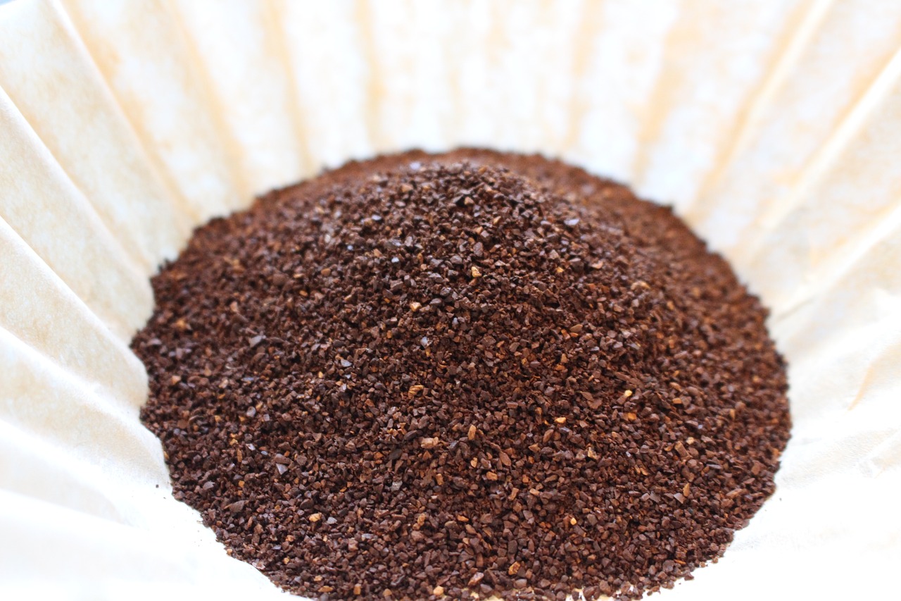 13 of the Most Effective DIY Dog Repellent Recipes Garden and Happy