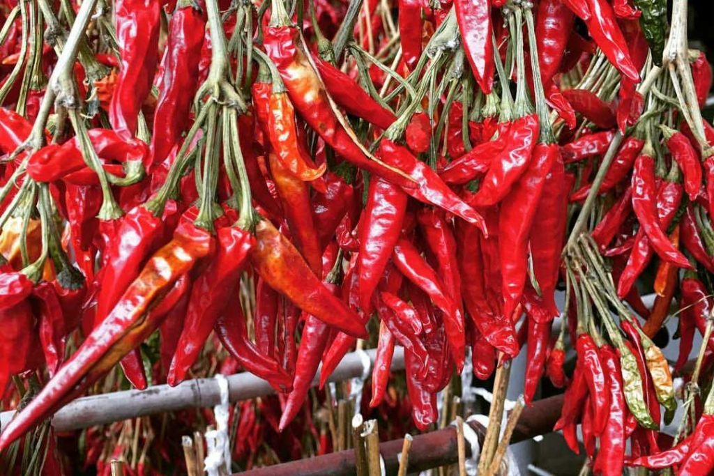 How to Dry Peppers Try These 3 Useful Methods Garden and Happy