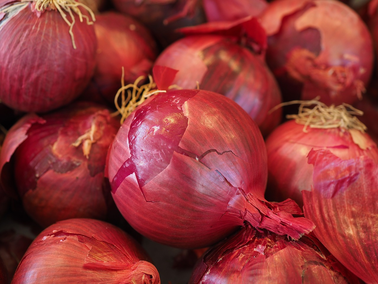 The Complete Guide To Successfully Growing Onions From Seed Garden