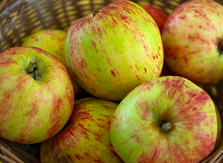 22 of the Best Heirloom Apples Available to Grow Today Garden and Happy