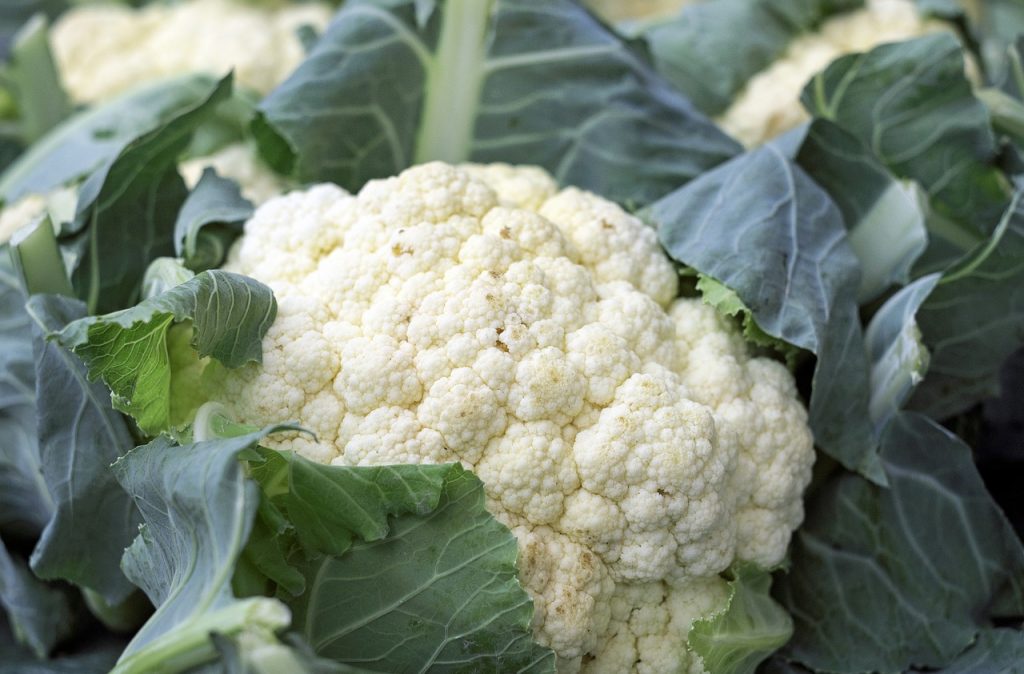 The Ultimate Guide for Growing Chinese Cabbage Garden and Happy