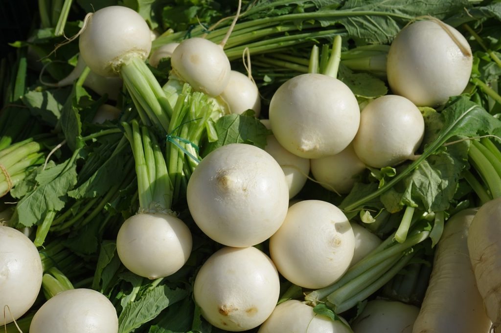 What do Turnips Taste Like? Discover these Delicious Roots Today