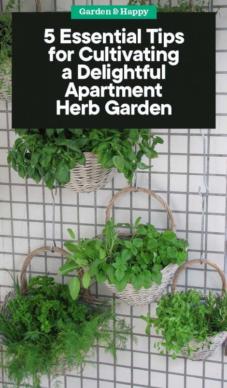 5 Essential Tips for Cultivating an Apartment Herb Garden - Garden and ...