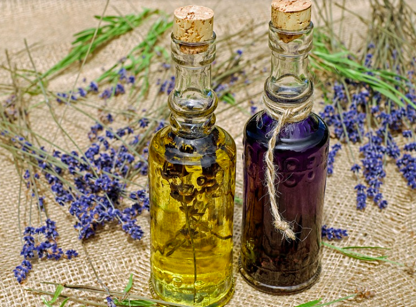 16 Innovative Things to Do with Sage Flowers Garden and Happy