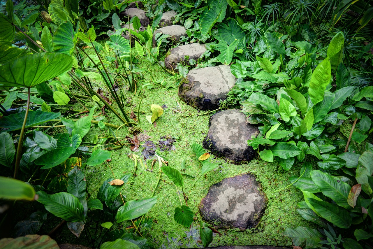 9 DIY Garden Stepping Stones Ideas - Garden and Happy