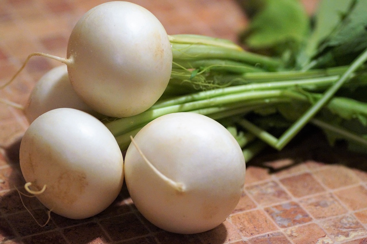 All You Need to Know About Growing Turnips Garden and Happy