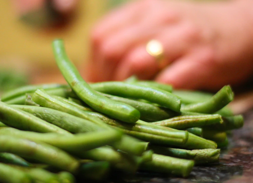 Growing Green Beans Indoors in Wintertime Garden and Happy